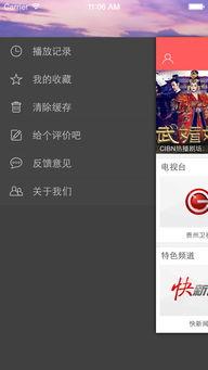 视频中国,视频中的文化瑰宝与时代变迁