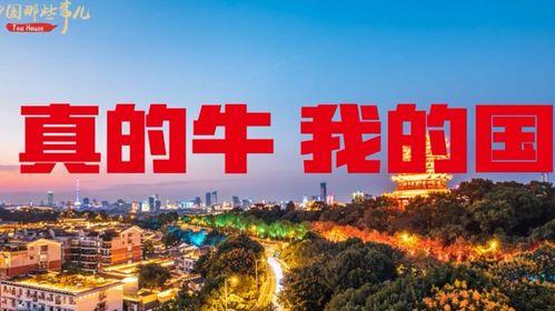 视频中国,视频中的文化瑰宝与时代变迁