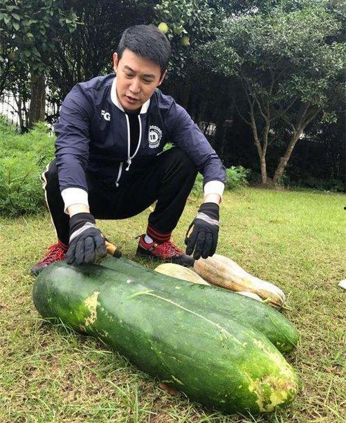在田间吃瓜真千金爆料,揭秘真千金田间吃瓜的甜蜜瞬间