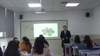 培训视频,深度解析行业前沿技能