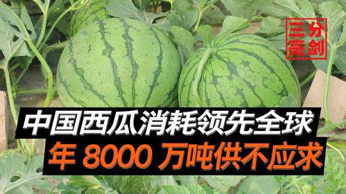 红料社吃瓜爆料是真的吗,真相揭秘，是真是假？