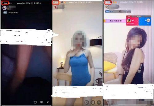 黄色视频在线免费观看,揭秘免费观看黄色视频的真相与风险